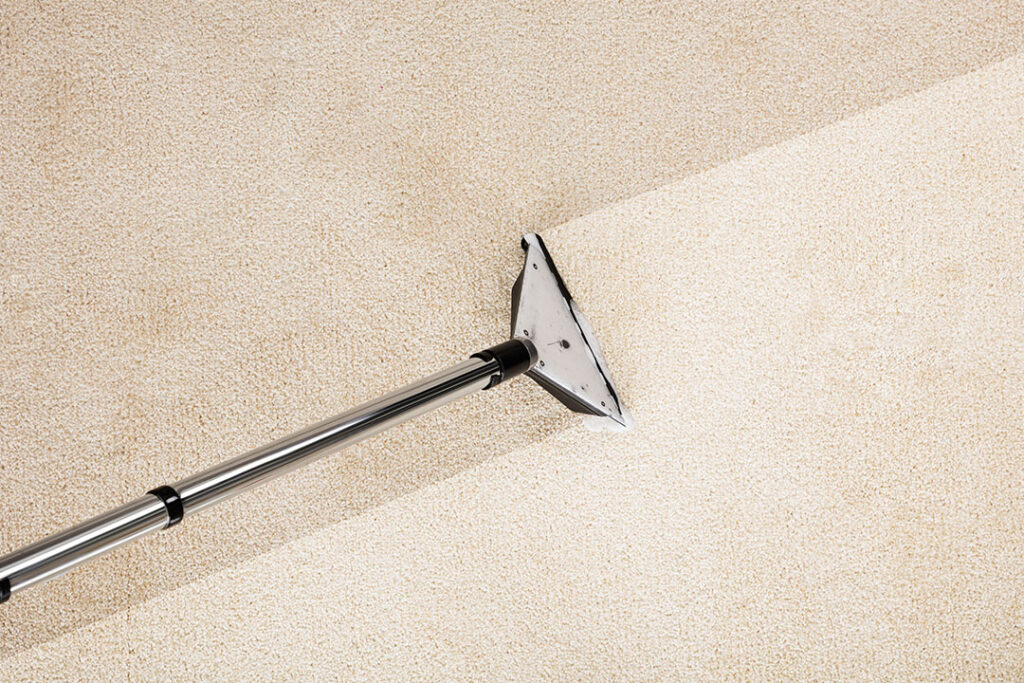 Revive Carpet Cleaning in Minnesota
