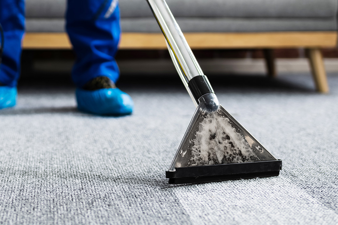 Why Clean Rugs Matter: Indoor Air Quality in Your Home 