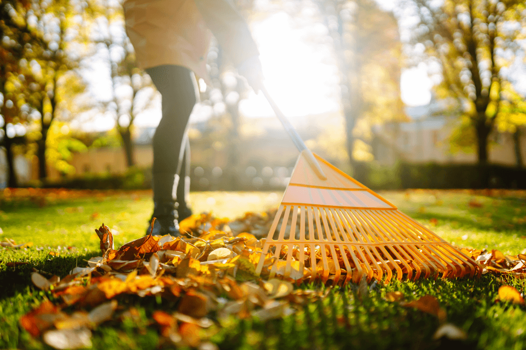 Fall Carpet Cleaning: Professional Carpet Cleaning for Allergy Relief - Revive Carpet & Air Duct Cleaning