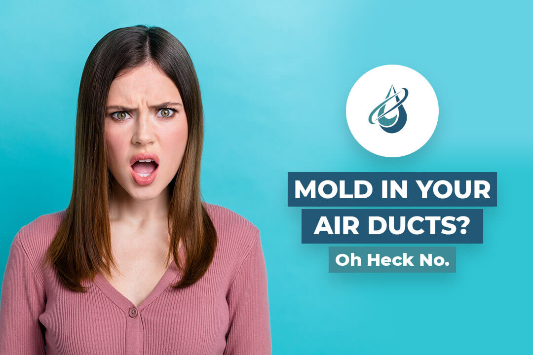 How to Prevent Mold in HVAC Systems and Air Ducts - Revive Carpet & Air Duct Cleaning