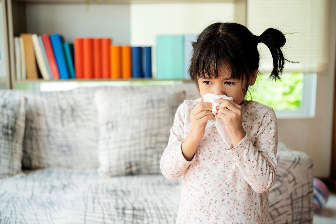 Air Duct Cleaning for Allergy-Prone Homes: A Comprehensive Guide - Revive Carpet & Air Duct Cleaning