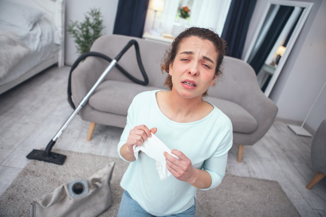 The Impact of Seasonal Changes on Air Duct Efficiency and Cleanliness - Revive Carpet & Air Duct Cleaning