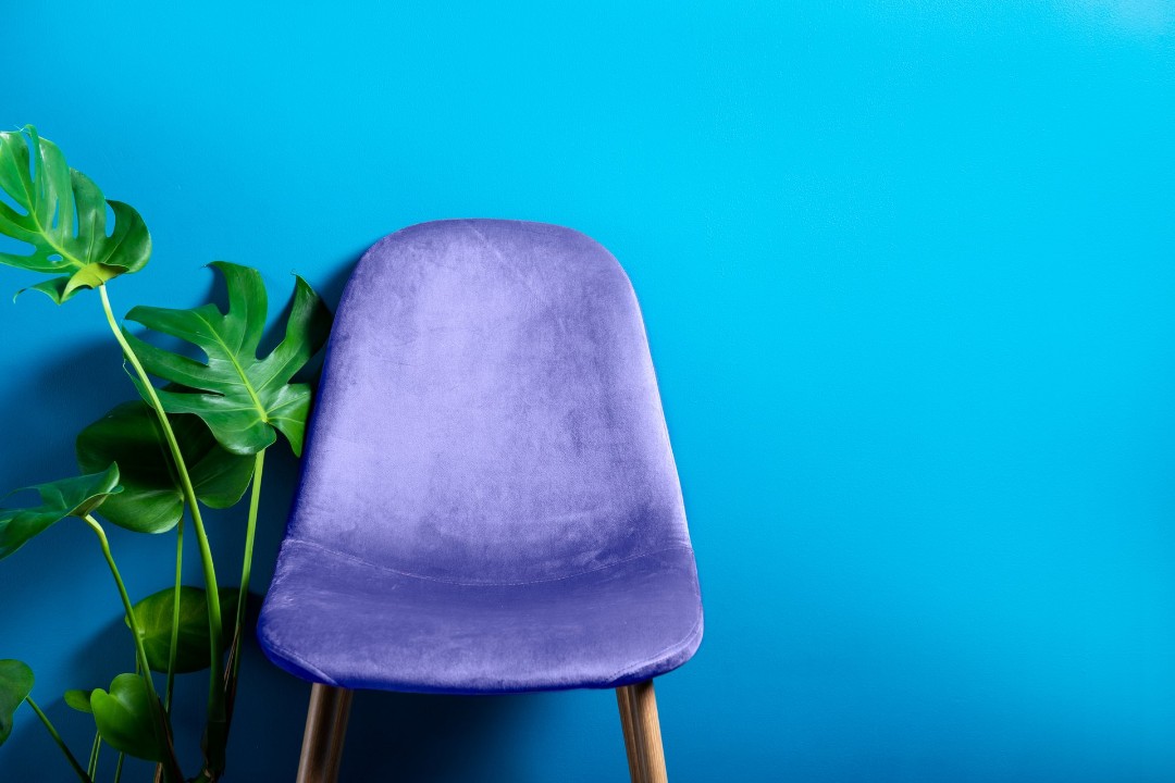 Velvet side chair and plant.