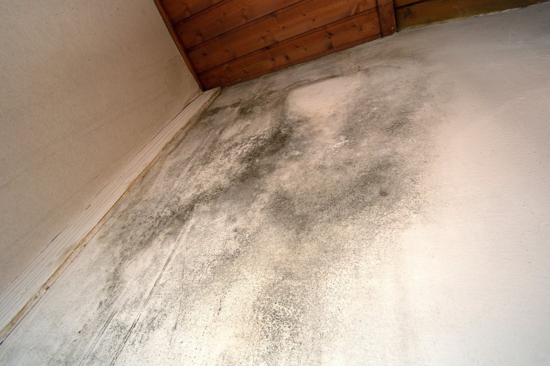 Excess moisture can cause mold and allergen growth.