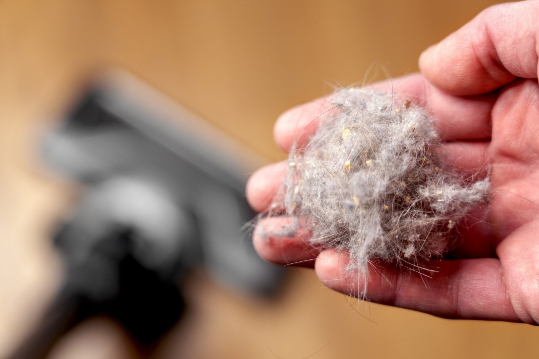 The Hidden Allergens in Upholstery and How to Remove Them Effectively - Revive Home Services