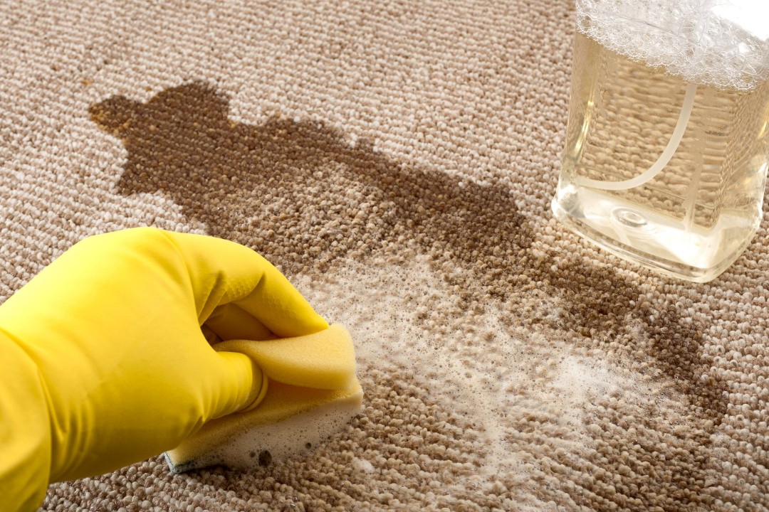 Things You Should Never Do with Carpet Stains Carpet stains are the arch-nemesis of homeowners, always appearing at the most inconvenient times. Whether it’s a splash of red wine during a dinner party or a muddy paw print from your furry friend, dealing with these unsightly marks is inevitable. However, while you may be eager to tackle the problem immediately, there are some critical errors to avoid in your carpet cleaning endeavors. In this guide, we'll explore common mistakes people make when dealing with carpet stains and provide some savvy advice on how to keep your carpet looking pristine. And remember — if you need help beyond DIY solutions, Revive Home Services is here to bring your carpets back to life with professional cleaning backed by a 100% satisfaction guarantee. Common Mistakes in Carpet Stain Removal yeah... please don't do that. A carpet stain can be a formidable foe, but sometimes we make it worse with our well-meaning yet misguided efforts. The best way to approach stain removal is to first understand the common mistakes that can turn a minor mark into a permanent blemish. From the wrong cleaning method to the incorrect application of solutions, these errors can damage carpet fibers and make it more difficult to remove stains. Check out a past article if you're also wondering about DIY Carpet Stain Removal Myths. It's got 9 myths about carpet stains that perfectly tie into this guide. Using the Wrong Cleaner One of the most common and detrimental mistakes in carpet cleaning is using the wrong cleaner. While you might be tempted to grab any available cleaning solution or carpet cleaner, not all are suited for every type of stain or carpet. Some cleaners contain harsh chemicals that can damage carpet fibers or cause discoloration. Revive’s technicians use safe, tested cleaning agents designed for every type of stain and fiber. Unlike off-the-shelf cleaners, Revive’s process restores your carpet without the risk of fading or fiber damage. Ignoring the Blotting Technique When faced with a fresh stain on the carpet, your first instinct might be to scrub away furiously. However, this can push the stain further into the fibers, making it even harder to remove. Instead, the best way is to blot the stain gently. Apply the solution lightly and use a clean cloth or paper towel to absorb the liquid, working from the outside of the stain inward to prevent it from spreading. Ignore the blotting technique, and you risk setting the stain, requiring a more intense deep clean or even professional carpet cleaning services. Rubbing Instead of Blotting Ah, the age-old myth that vigorous rubbing is the secret to a clean carpet! Unfortunately, this is more likely to cause harm than good. Rubbing can fray carpet fibers, distort the texture, and embed the stain deeper into the carpet, making it a stubborn stain that resists even the best stain removers. Instead, a patient and gentle blotting method is the way to go. This ensures you lift the stain without damaging the carpet. Remember, a little patience and the right technique can go a long way in keeping your carpet looking its best. What to Avoid During Carpet Cleaning Using Excess Water When it comes to carpet cleaning, using excess water is akin to inviting a new set of problems. Soaking your carpet may seem like a thorough cleaning method, but it can lead to a range of issues. Excessive moisture can seep into the carpet fibers and the underlying padding, creating a breeding ground for mold and mildew. Revive uses professional hot water extraction systems designed to deep clean carpets while removing excess moisture. This ensures your carpets dry quickly and safely, without the lingering damp smell or risk of mold growth. Applying Heat to Stains Applying heat to carpet stains is a common mistake that many make in an attempt to speed up the cleaning process. However, heat can cause certain types of stains to set permanently into the carpet fibers, making them even more difficult to remove. This is especially true for protein-based stains like blood or dairy, where heat can cause the proteins to cook into the fibers. Instead, opt for a cool or lukewarm cleaning solution like a mix of dish soap and warm water, and let the stain remover do its magic. Neglecting Immediate Action Procrastination may be an art form in some scenarios, but it’s an absolute no-no when it comes to dealing with carpet stains. The longer a stain sits on the carpet, the harder it becomes to remove. Immediate action is your best ally in the fight against tough stains. As soon as you notice a spill, blot it gently to remove dirt and excess liquid and then apply an appropriate cleaning solution like club soda or a white vinegar mixture. Waiting too long can lead to stubborn stains that require more intensive methods and possibly even professional carpet cleaning. Best Practices for Carpet Stain Management Choosing Safe Cleaning Solutions When it comes to keeping your carpet looking fresh, choosing the right cleaning solutions is key. Not all cleaners are created equal, and using the wrong one can be a recipe for disaster. Choose safe, non-abrasive solutions like white vinegar or a mild dish soap and warm water mix. These DIY carpet cleaning tips are not only effective but also gentler on your carpet fibers. Of course, nothing beats the professional-grade, eco-friendly solutions that Revive Home Services uses. Their methods protect carpet fibers, remove allergens, and leave your home feeling fresh. Testing Cleaning Methods Before you dive headfirst into carpet cleaning, it’s wise to test your chosen method. Apply the solution to a small, inconspicuous area of the carpet and wait a few minutes before blotting. This test run can reveal whether your cleaning solution will cause discoloration or damage to the carpet fibers. Ignoring this step is a common mistake that can lead to permanent damage. Whether you're dealing with grease stains or dye-based spills, knowing your method works can save you from costly errors. So, embrace the cautious approach and test before you commit to cleaning the entire carpet. Seeking Professional Help When Needed Even the most seasoned DIY carpet cleaning enthusiast knows when to call in the pros. Some stains are stubborn, some carpets are delicate, and sometimes it’s just safer to let professionals handle the task. Professional carpet cleaners like Revive have access to industrial-grade carpet shampoos, advanced steam cleaning equipment, and dye restoration expertise that few companies nationwide can match. Their DyeMaster Certified technicians can even restore carpets many would consider ruined. If you’re facing a particularly tricky carpet stain or want to ensure a thorough deep clean, don't hesitate to schedule a service with Revive. Their team serves the entire Twin Cities area, bringing quality service, advanced training, and customer-first care into every home. Why Choose Revive for Carpet Stain Removal? Revive isn’t just another cleaning company. We’re a Minnesota-based team with a reputation for excellence in carpet cleaning, tile and grout cleaning, upholstery cleaning, air duct cleaning, and hardwood refinishing. What makes Revive different? ✅ 100% Satisfaction Guarantee — if you’re not thrilled, they’ll make it right. ✅ DyeMaster Certified Technicians — capable of restoring carpets other companies would replace. ✅ State-of-the-art equipment — for deeper, longer-lasting results. ✅ Friendly, local service — trusted across the Twin Cities metro. When stains feel overwhelming, Revive is the trusted partner to call. Their combination of training, technology, and care ensures your carpet doesn’t just look clean — it feels refreshed and healthy for your whole family. Carpet stains happen, but with the right approach — and the right cleaning partner — they don’t have to be permanent. Avoid the common mistakes, practice safe cleaning methods, and when in doubt, call Revive Home Services for expert care. Schedule your carpet cleaning today and experience why Minnesota homeowners trust Revive to keep their homes spotless. - Revive Home Services
