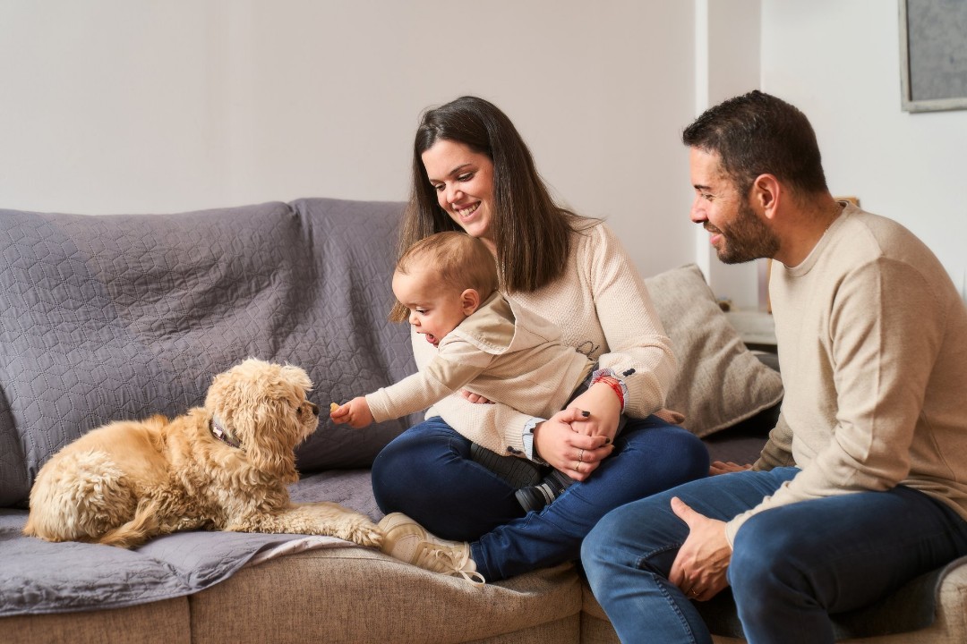 Family with baby and dog eating food on the couch