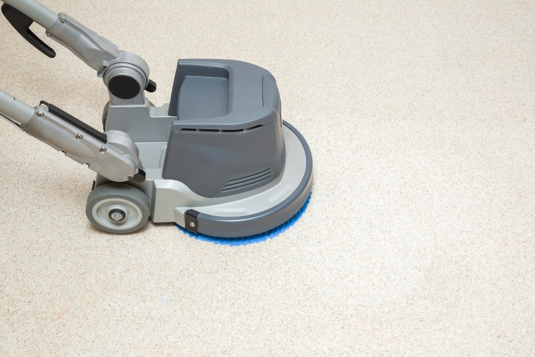 Professional Carpet Cleaning vs. Steam Cleaning - Revive Home Services