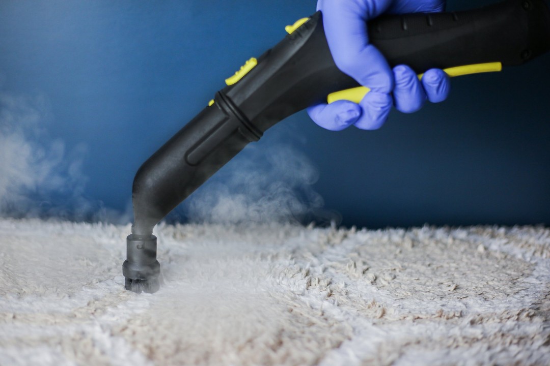 Professional steam cleaning for carpet
