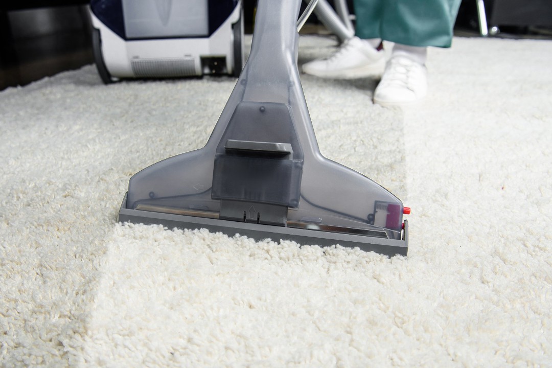 Professional carpet cleaning for home
