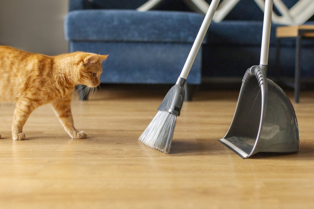 Sweeping laminate flooring