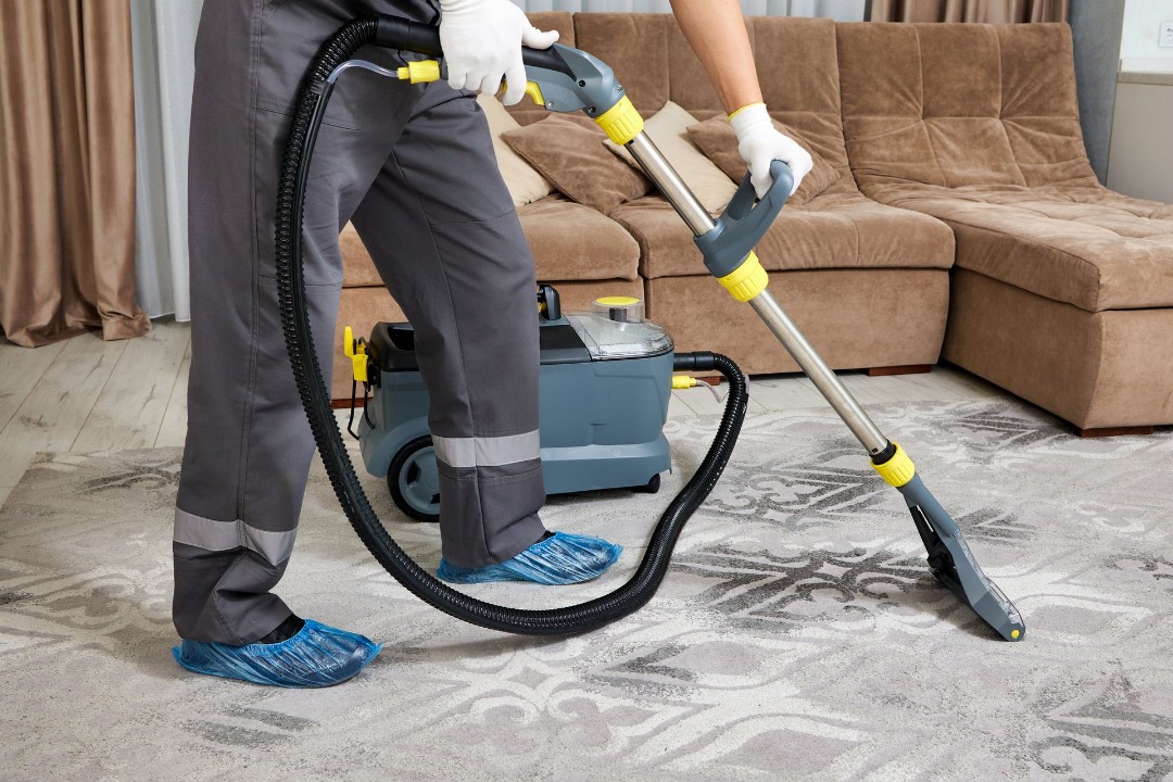 Professional carpet cleaning of home carpet