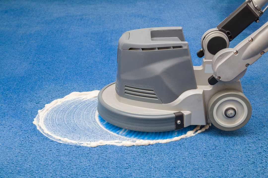 Professional carpet cleaning for warranty